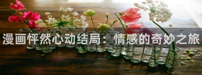 哔咔漫画picacg网页版：漫画怦然心动结局：情感的奇妙之旅