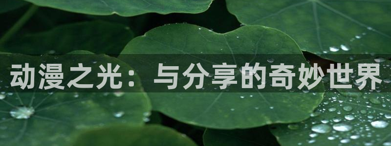 哔咔漫画破解版