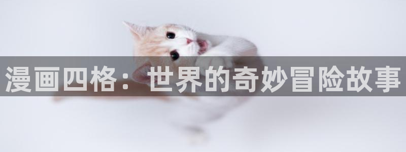 哔咔漫画看片：漫画四格：世界的奇妙冒险故事