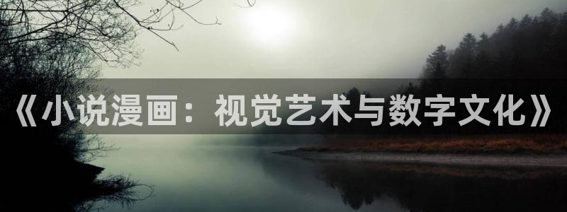 哔咔漫画移动网页在线浏览：《小说漫画：视觉艺术与数字文化》