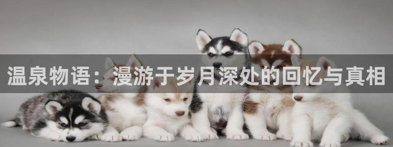 哔咔漫画怎么安装：温泉物语：漫游于岁月深处的回忆与真相